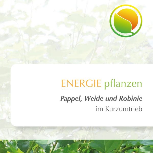 Energiewald Folder Pappel Weide